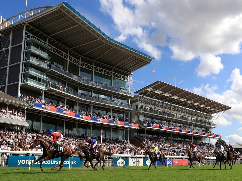 A Day at the Races