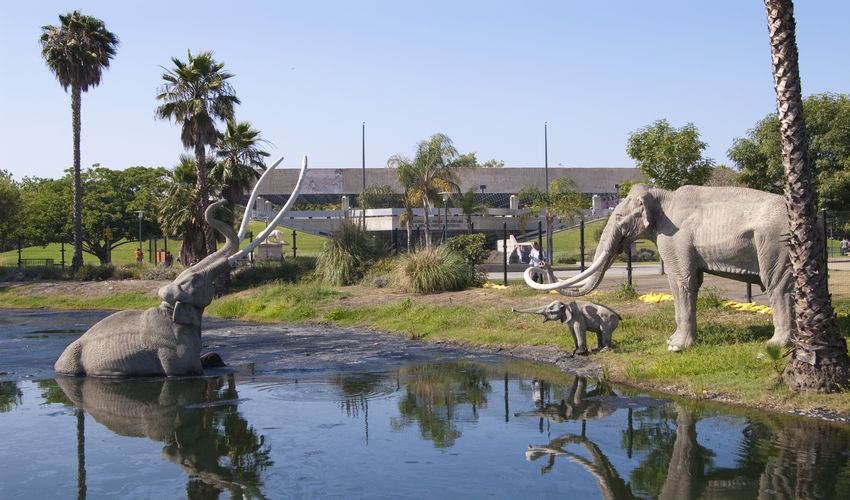 La Brea Tar Pits