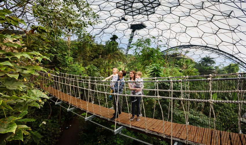 Eden Project - rainforest Biome