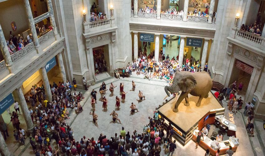 Smithsonian National Museum Of Natural History
